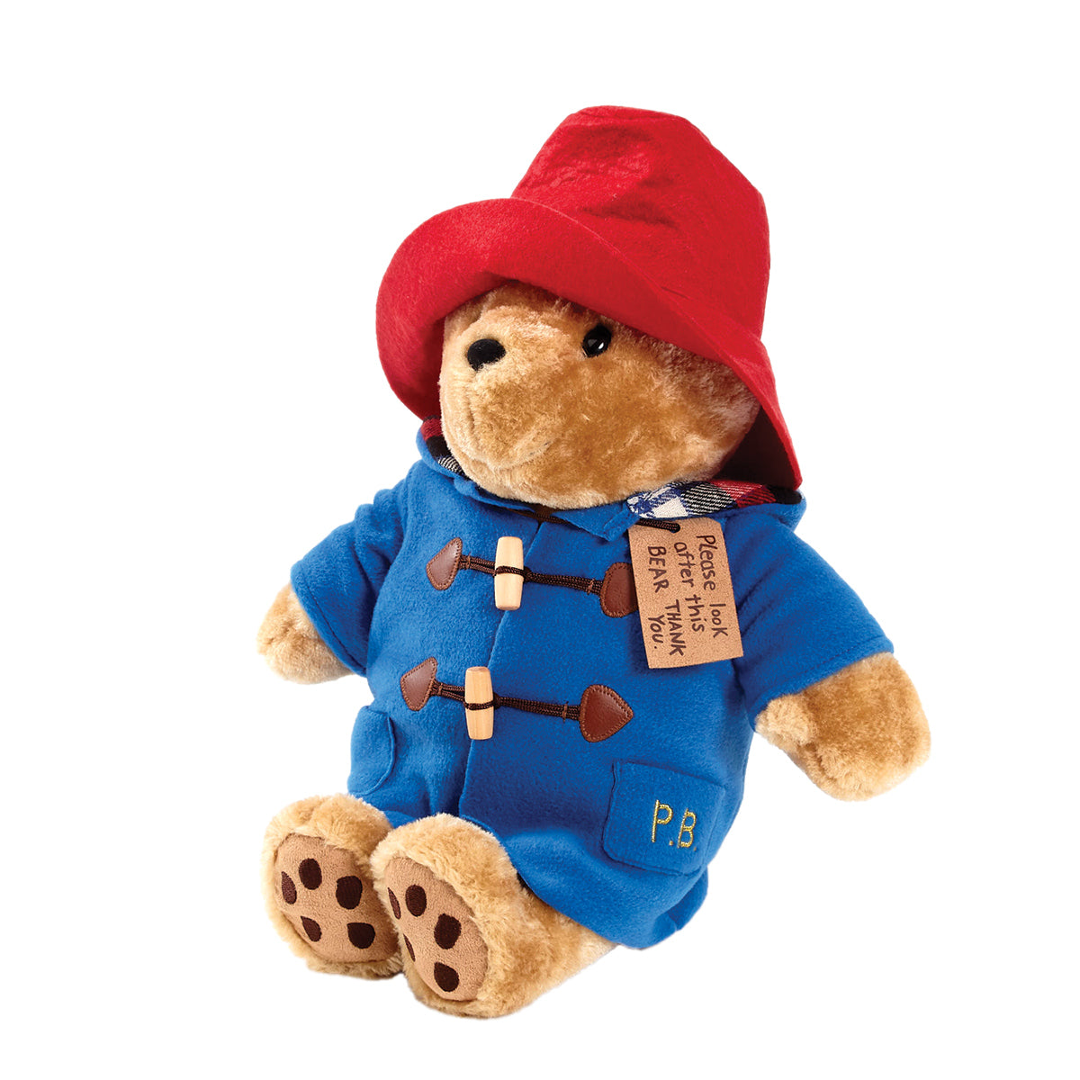 Rainbow Large Plys Paddington Bear