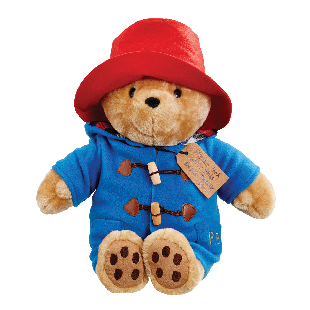 Rainbow Large Plys Paddington Bear