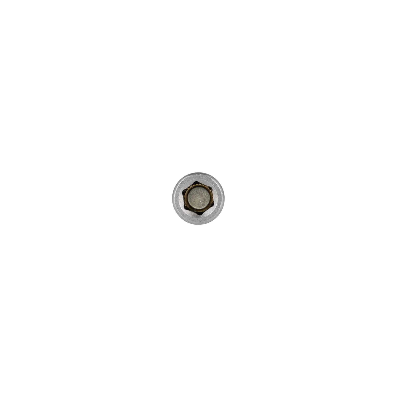 Magnetic Bit Holder 1/4 - 6 Mm 5 Pcs Proline