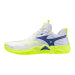 Mizuno Indoor Shoes Sr