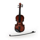 The Violin With A Bow