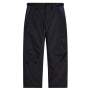 Pantaloni de schi/snowboard Vans Bărbați