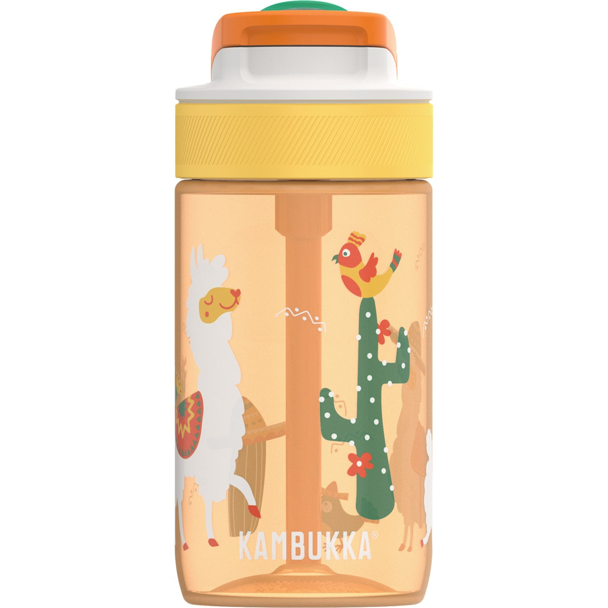Kambukka-lagune 400 ml Mexicaanse parade