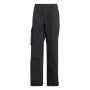 Adidas ski-/snowboardbroek voor heren