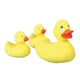 Rubber Duck Family