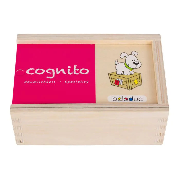 Beleduc Cognito Spatiality