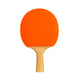 Table Tennis Racket Bambú Naranja ÚNICA