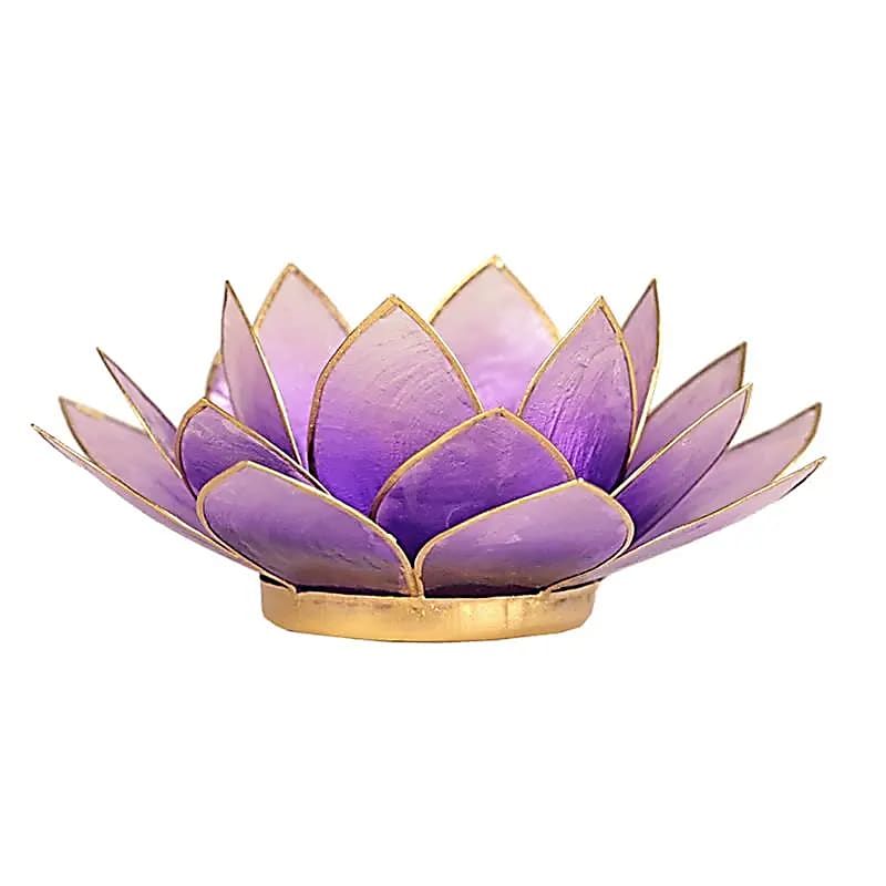 Finiture in oro viola chiaro atmosferico di loto - 13,5 cm