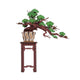 Robotime 3d Wooden Pine Puzzle