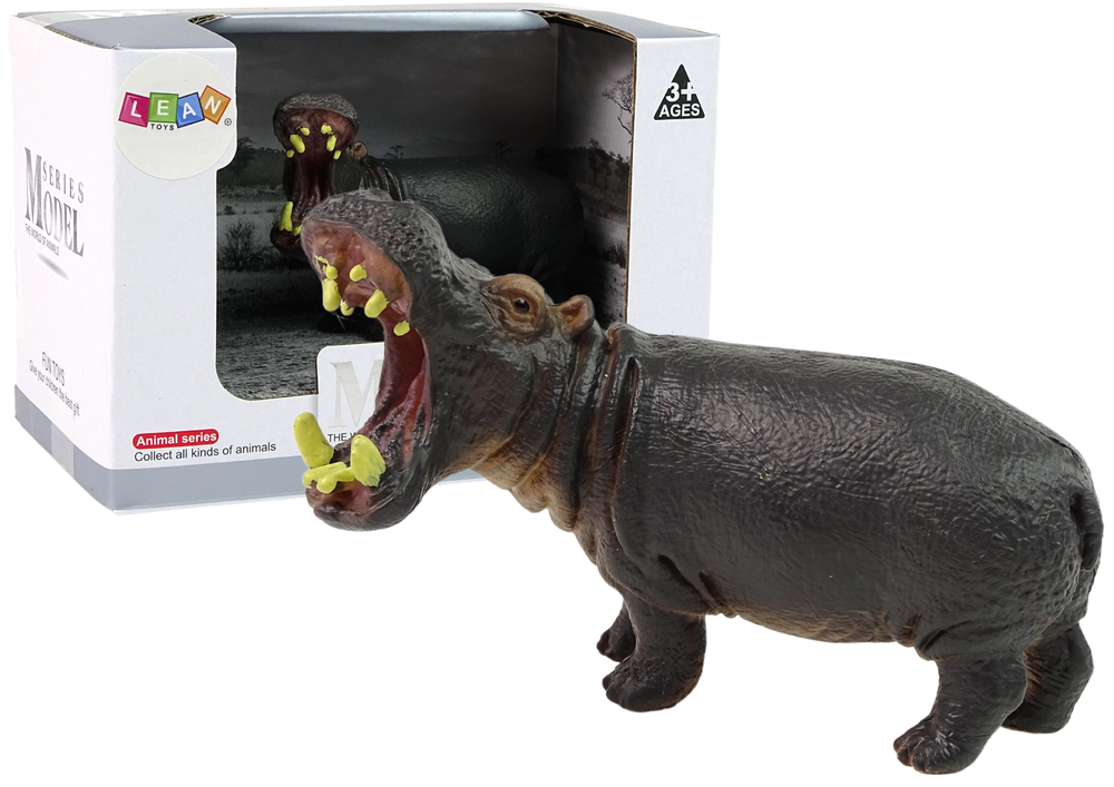 Collector's Figurine Hippopotamus Animals Of The World