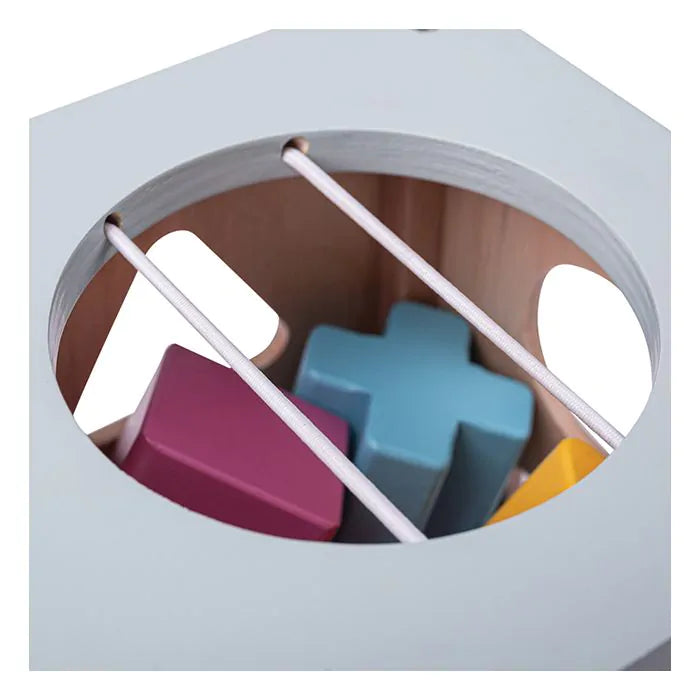 Bigjigs Shape Sorter