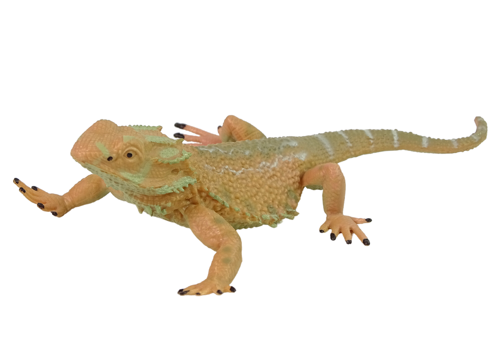 Agama Bearded Collector's Figurine Animals Of The World