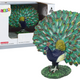 Large Collector's Figurine Of The Royal Peacock