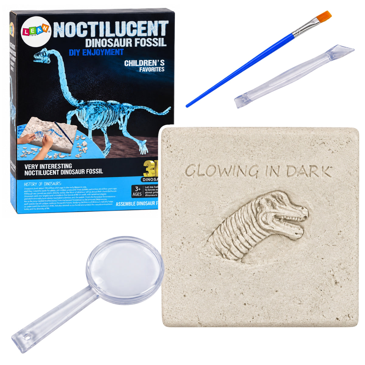 Régészeti ásatási készlet dinoszaurusz csontváz 3D Brachiosaurus hologram