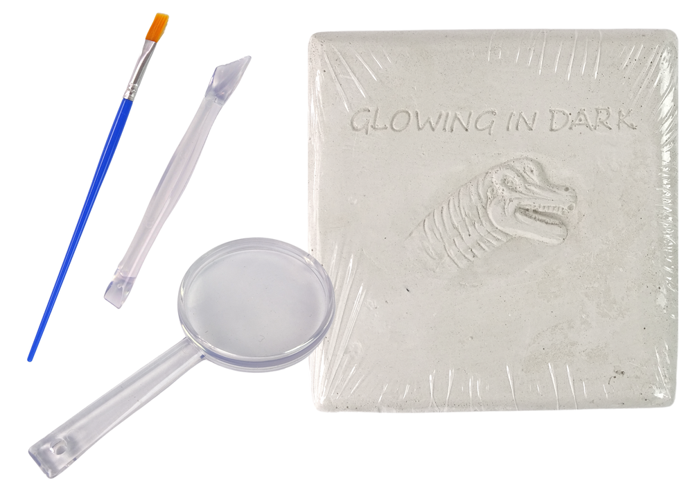 Kit d'excavation archéologique squelette de dinosaure hologramme de brachiosaure 3d