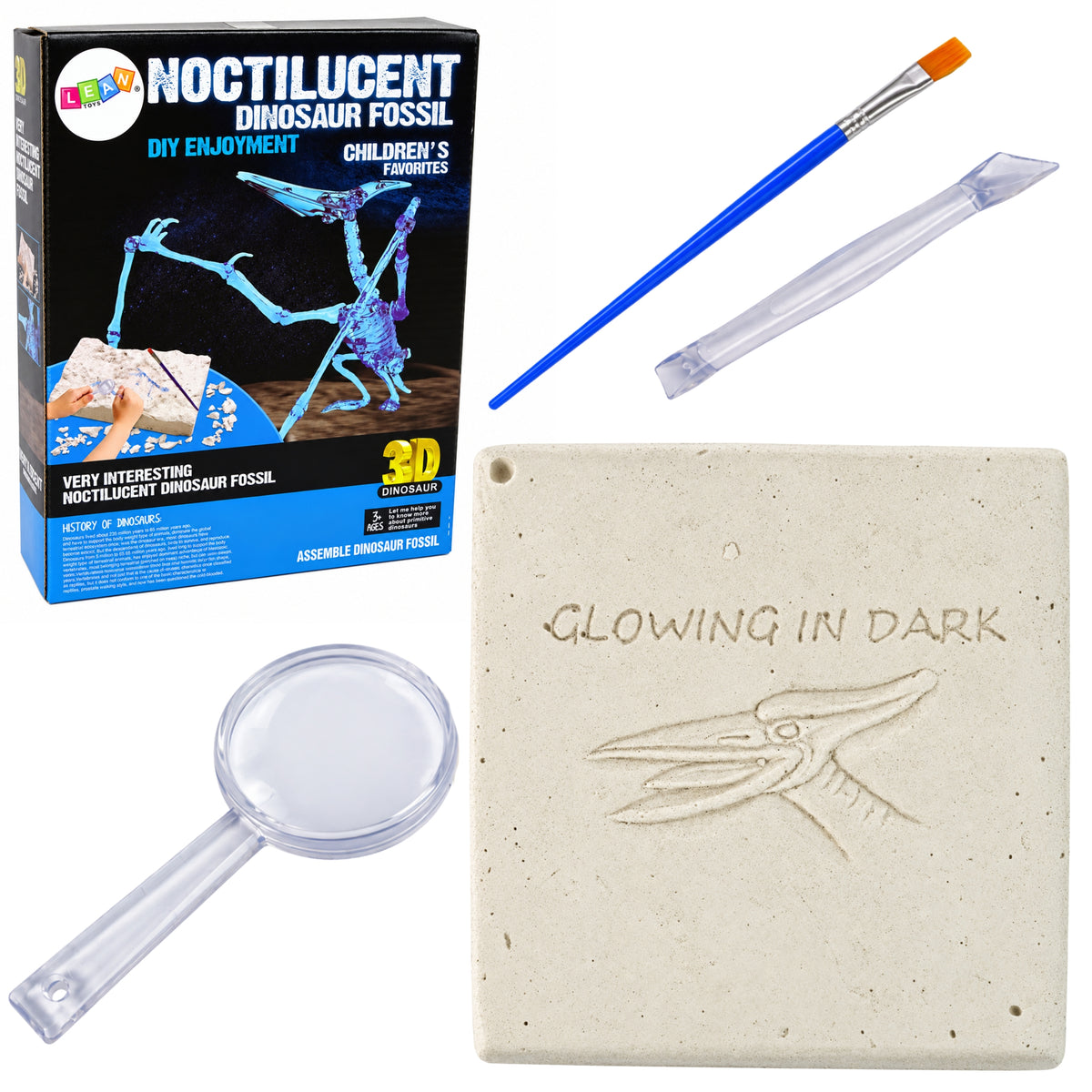 Kit de escavação de arqueologia Esqueleto de dinossauro Pteranodon holograma 3d