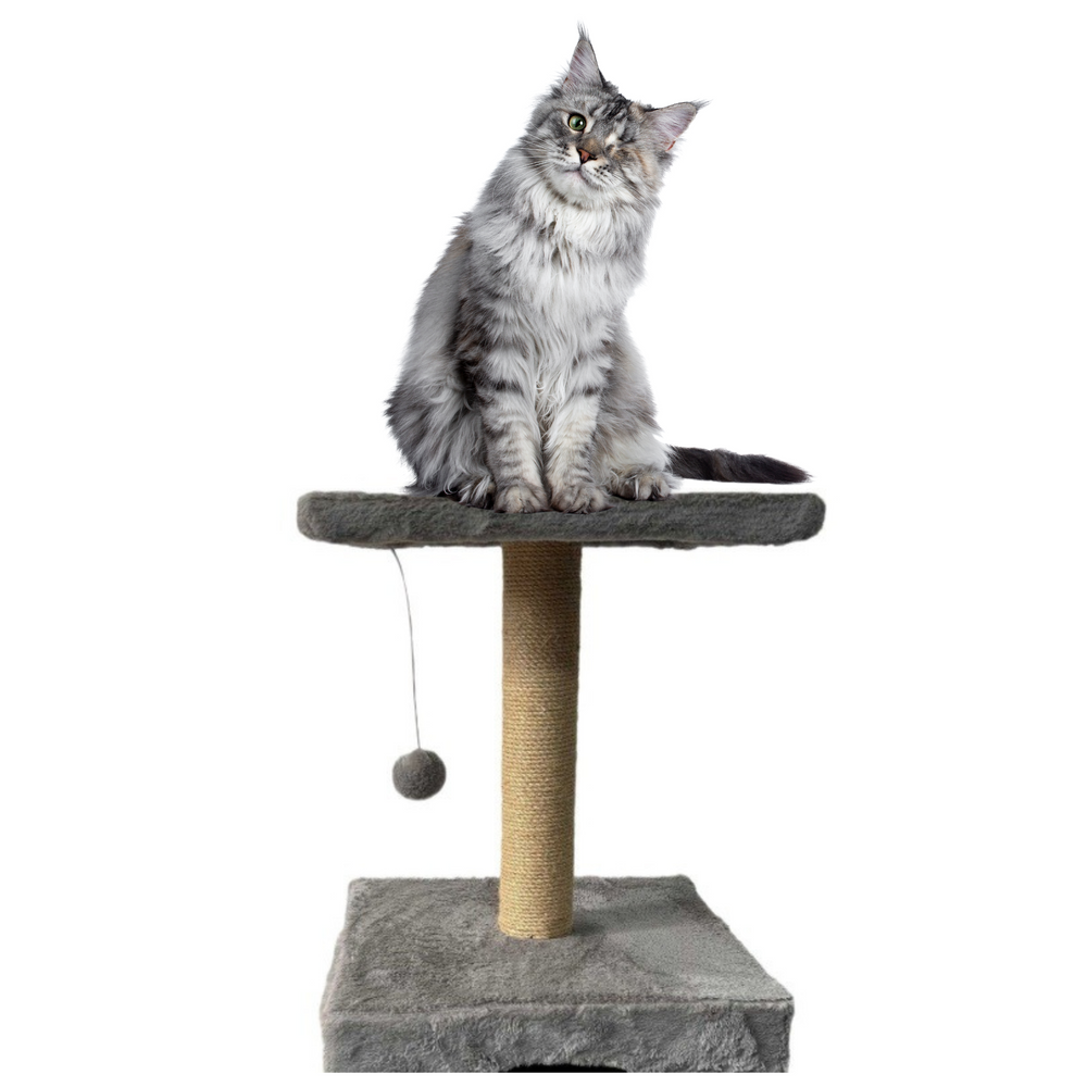 Scratching Post With Cat Bed Hanging Mouse 31cm X 31cm X 56cm