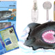 Ammonite Shark Excavation Educational Kit