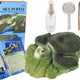 Ammonite Turtle Excavation Educational Kit