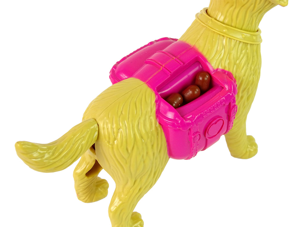 Pet And Food Doll Set