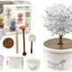Magic Tree Crystal Growing Silver Experiences