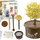 Magic Tree Growing Crystals Gold Experiences