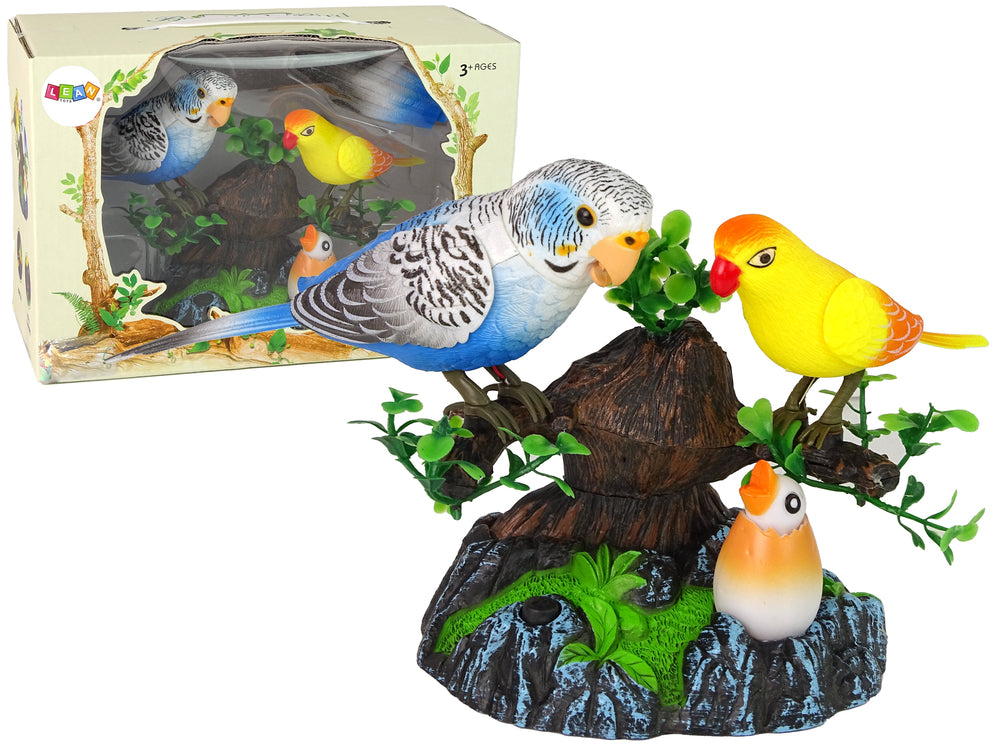 Singing Moving Parakeets Colorful Tree