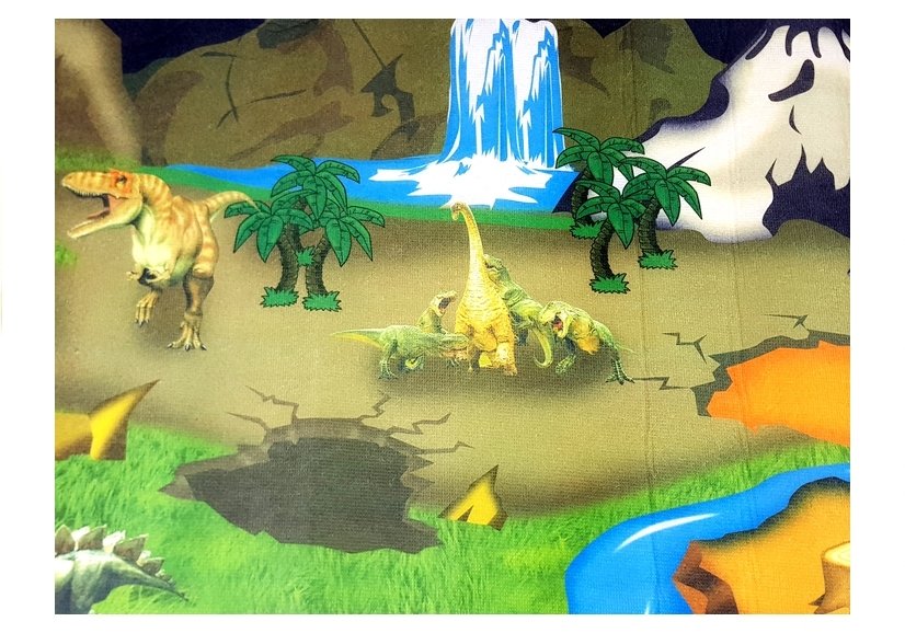 Mat With Dinosaurs Educational Carpet