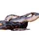 Plush Gray Snake Mascot 210 Cm