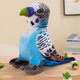Plush Blue Parrot Mascot 20 Cm