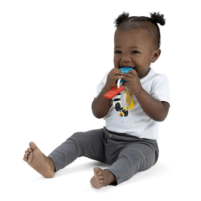 Baby Einstein Shake-a-shape Дзен играчка за гризалка