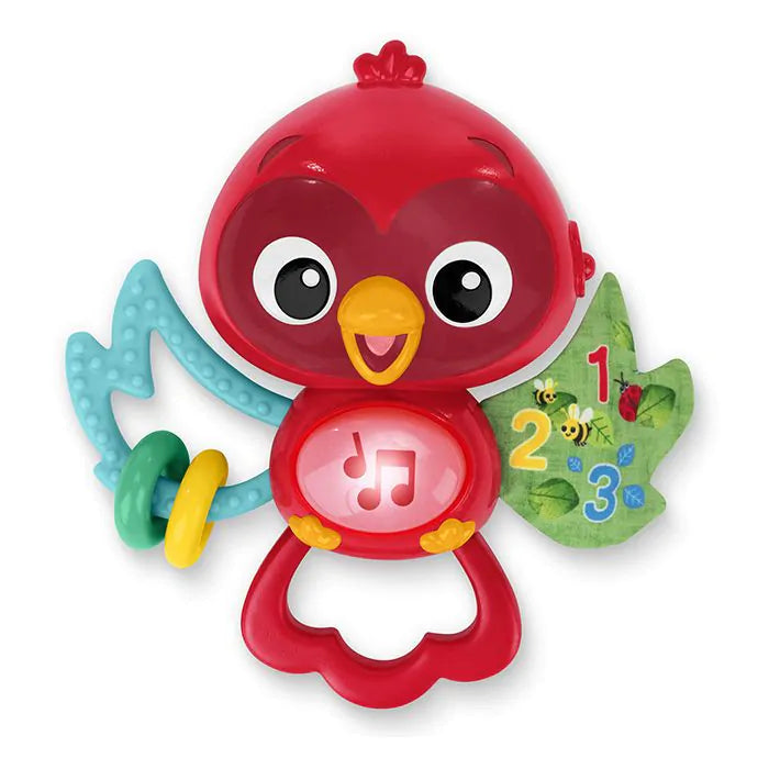 Музикална играчка Baby Einstein Roxy's Bright Flight