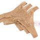 Scandale Le String Sensual-nude T17 Mutandine da donnadelicato inserto in pizzo confezione da 3