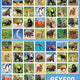 Pexeso zoo