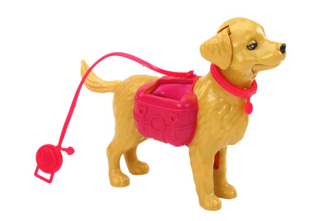 Doll Set With Dogs Cat Vet Accessories