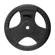 Rubber Disc With Grip Negro 125 Kg