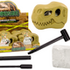 Archaeological Dig Set Dinosaurs Fossils Skull