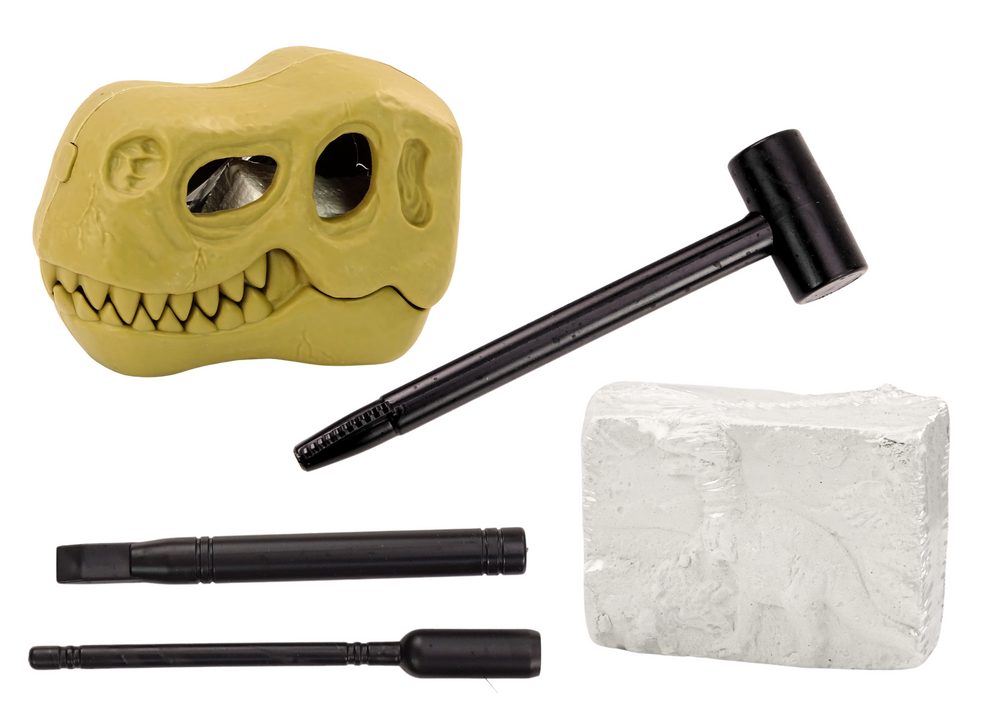 Archaeological Dig Set Dinosaurs Fossils Skull