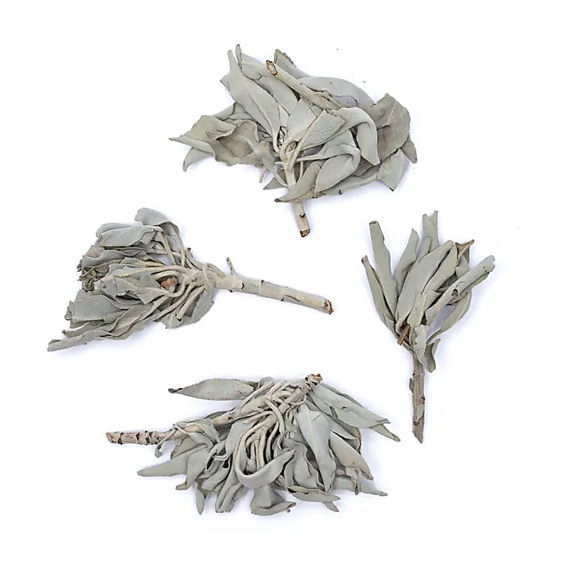 Incense White Sage Clusters (salvia Apiana) - 250 G
