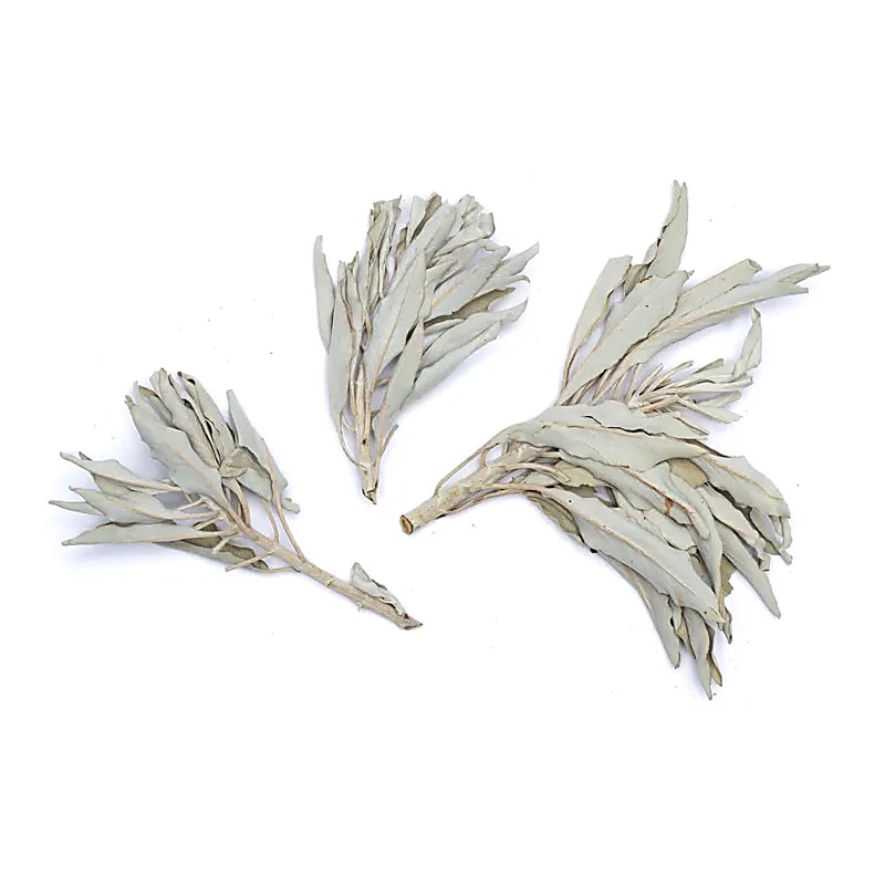 Incense White Sage Clusters (salvia Apiana) - 500 G