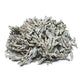 Braislí Incense White Sage (salvia Apiana) - 1000 g