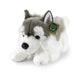 Husky de pelúcia 32 cm ecológico
