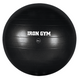 Iron Gym - Ballon de Fitness Essentiel 55 Cm