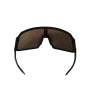Lunettes de cyclisme Buckels