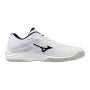 Mizuno Indoor Shoes Sr