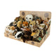 Plush Forest Animals Display Eco-f.