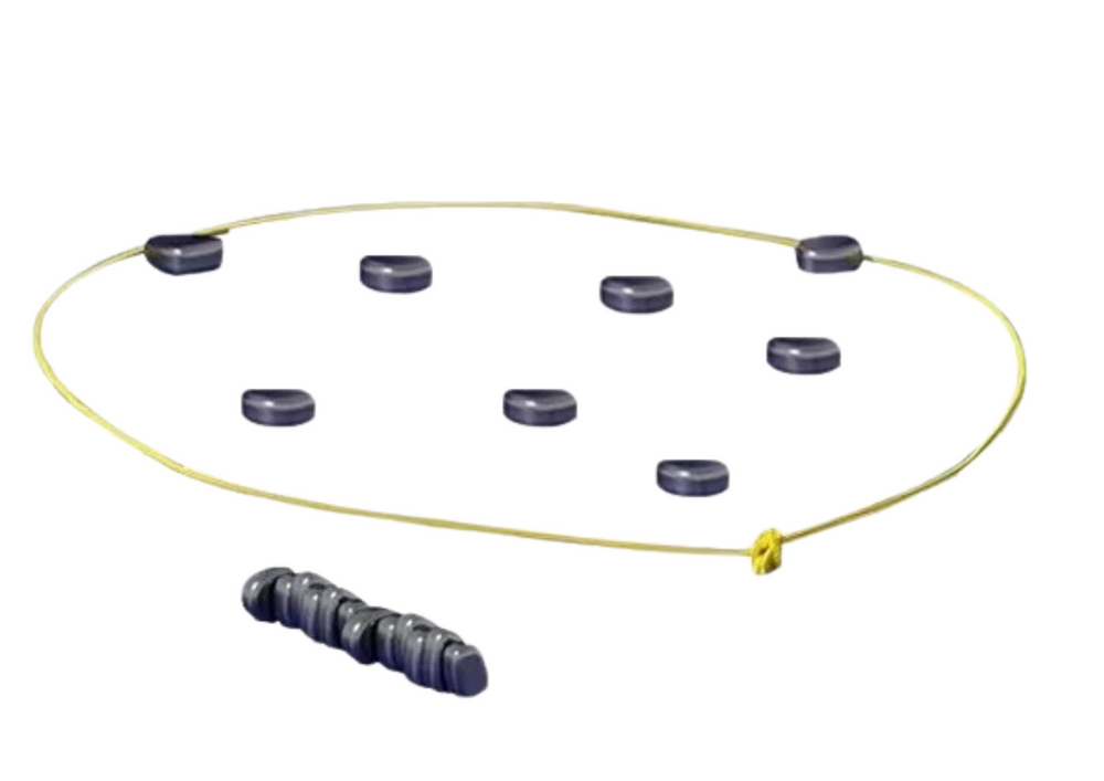 Strategisches Brettspiel mit Magnetsteinen und Schach