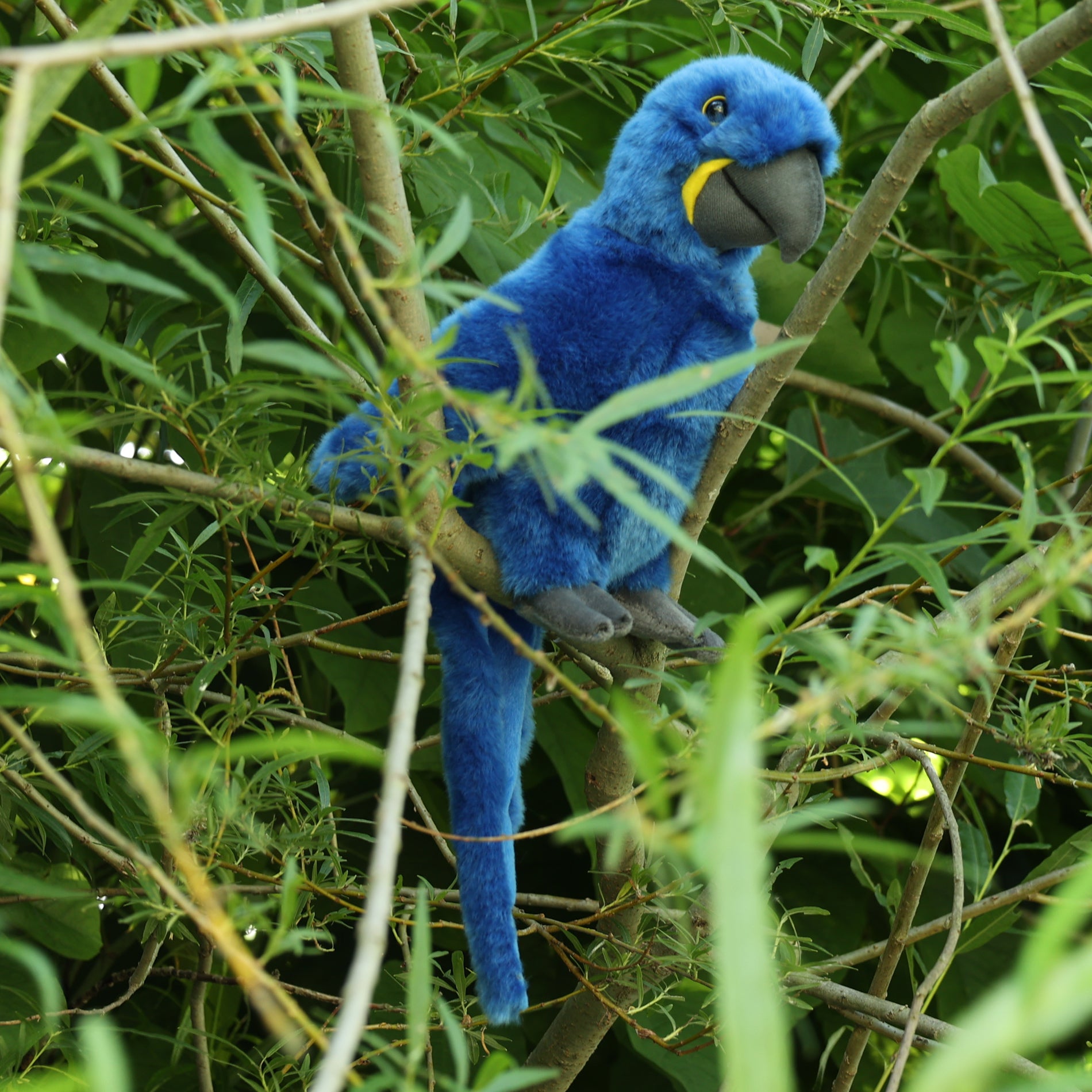Arara Jacinto de Pelúcia 25 Cm Ecológica