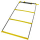 Sedco Mini Agility Scaletta -ambra