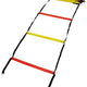Sedco Agility Pro Frequenzleiter